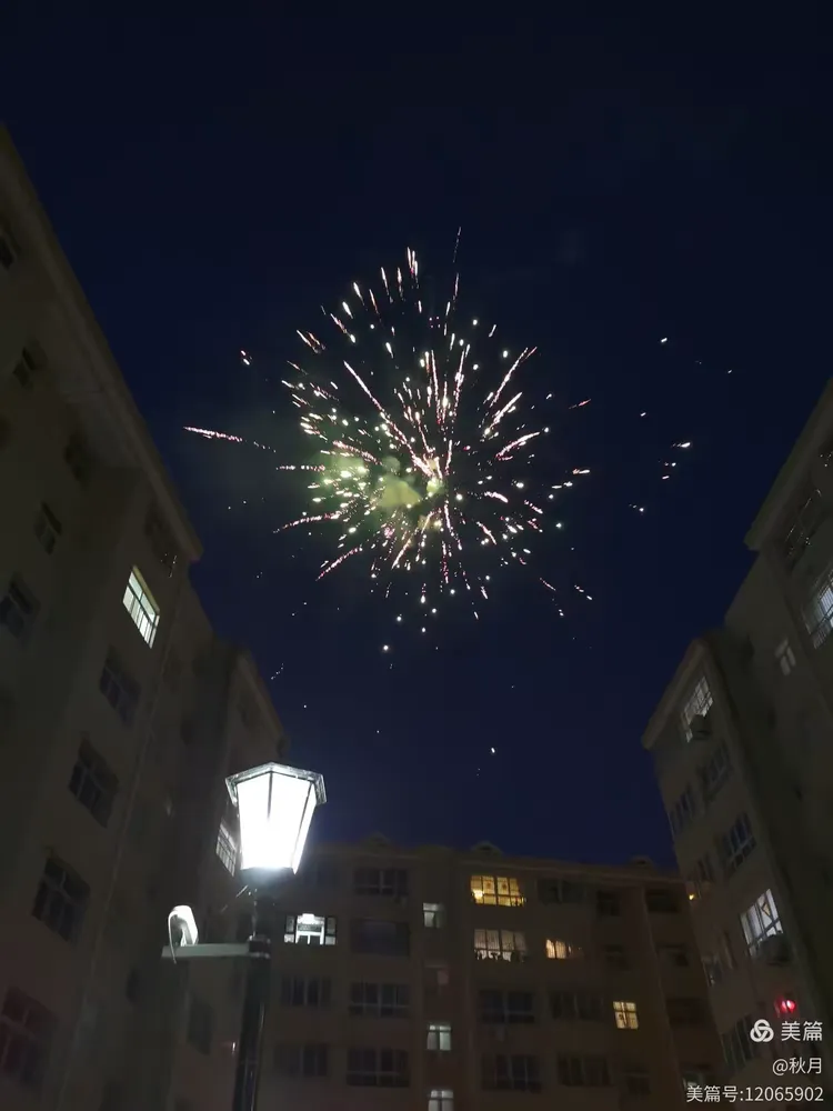 新年的烟花在夜空里绽放